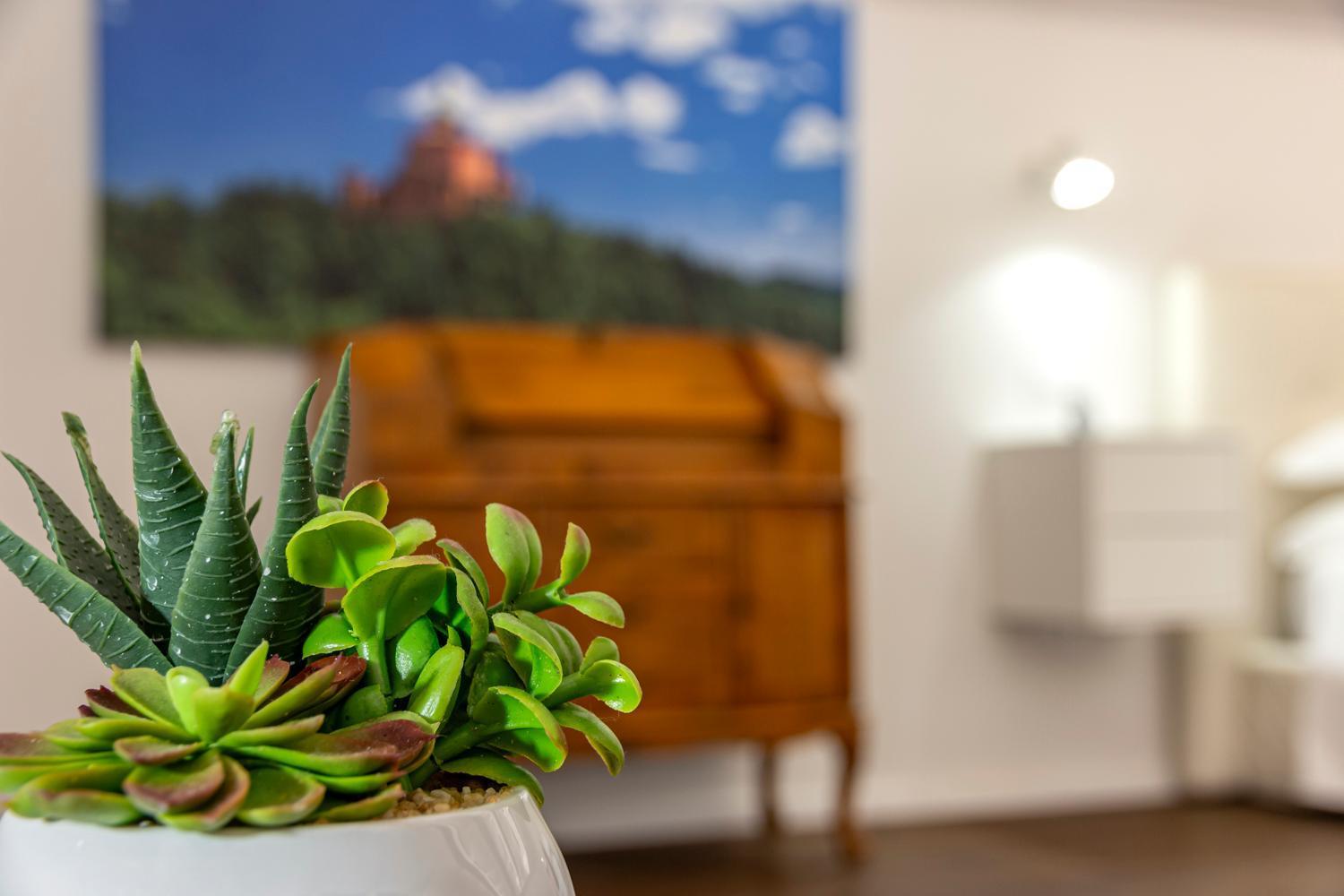 Righi Suite Apartment Bologna Exterior photo